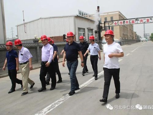 �_���h�I���W�R���ʼ��F����ָ��