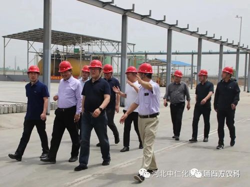 �_���h�I���W�R���ʼ��F����ָ��