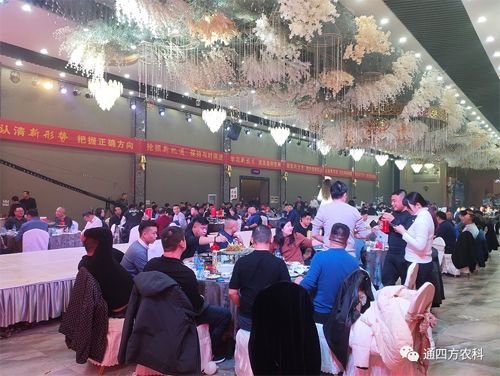 �Sʢ�Ĵ��x����